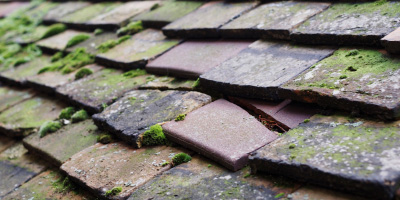 Sale roof repair costs